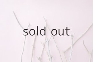 画像4: 小枝流木セット