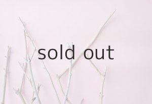 画像5: 小枝流木セット