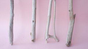 画像2: 小枝流木セット