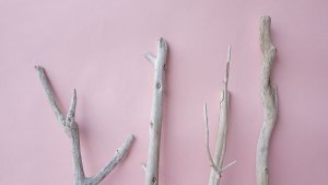 画像4: 小枝流木セット