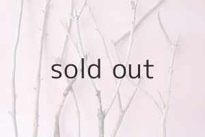 画像3: 小枝流木セット