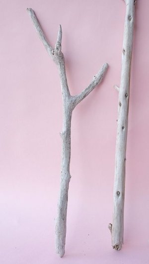 画像5: 小枝流木セット