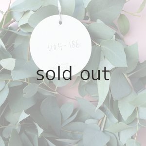 画像7: Dry plants for decor ユーカリブルーガムリース