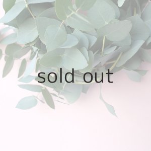 画像4: Dry plants for decor ユーカリブルーガムリース