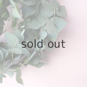 画像5: Dry plants for decor ユーカリブルーガムリース