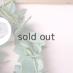 画像6: Dry plants for decor ユーカリブルーガムリース