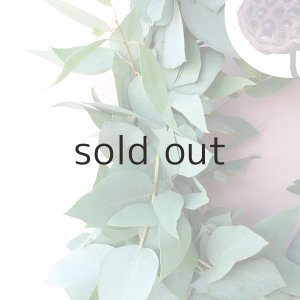 画像3: Dry plants for decor ユーカリブルーガムリース