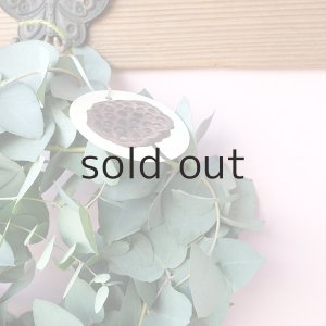 画像6: Dry plants for decor ユーカリブルーガムリース