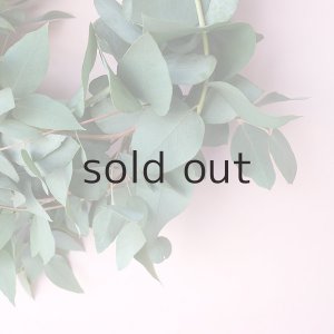 画像5: Dry plants for decor ユーカリブルーガムリース