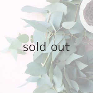 画像3: Dry plants for decor ユーカリブルーガムリース