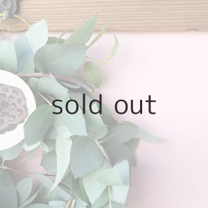 画像6: Dry plants for decor ユーカリブルーガムリース