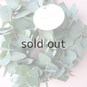 画像7: Dry plants for decor ユーカリブルーガムリース