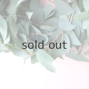 画像4: Dry plants for decor ユーカリブルーガムリース