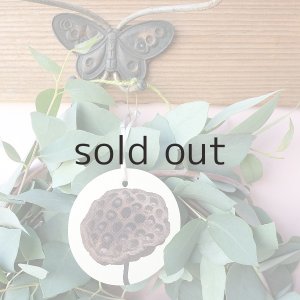 画像2: Dry plants for decor ユーカリブルーガムリース