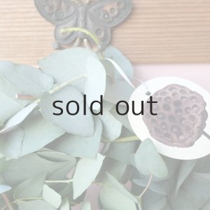 画像2: Dry plants for decor ユーカリブルーガムリース