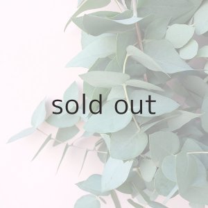 画像3: Dry plants for decor ユーカリブルーガムリース