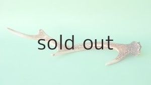 画像4: デコール用二ホンジカの角mini・小鹿