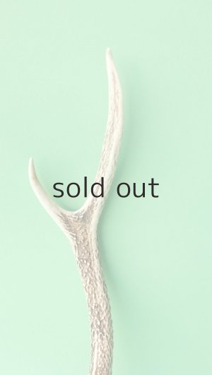 画像3: デコール用二ホンジカの角mini・小鹿