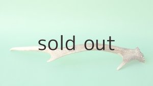 画像5: デコール用二ホンジカの角mini・小鹿