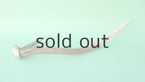 画像4: デコール用二ホンジカの角