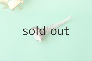 画像4: デコール用二ホンジカの角mini・小鹿（チャーム用）