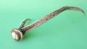 画像6: デコール用二ホンジカの角mini・小鹿