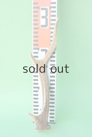 画像7: デコール用二ホンジカの角mini・小鹿