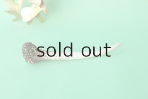 画像2: デコール用二ホンジカの角mini・小鹿（チャーム用）