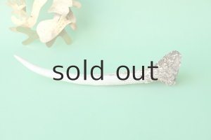 画像3: デコール用二ホンジカの角mini・小鹿（チャーム用）