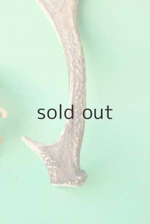 画像2: デコール用二ホンジカの角mini・小鹿