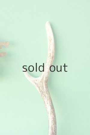 画像3: デコール用二ホンジカの角mini・小鹿