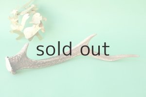 画像4: デコール用二ホンジカの角mini・小鹿