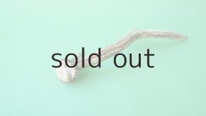 画像6: デコール用二ホンジカの角mini・小鹿