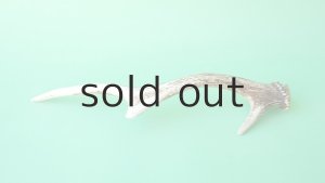 画像5: デコール用二ホンジカの角mini・小鹿