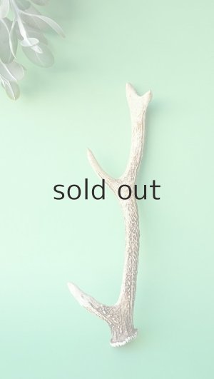 画像1: デコール用二ホンジカの角＊outlet＊