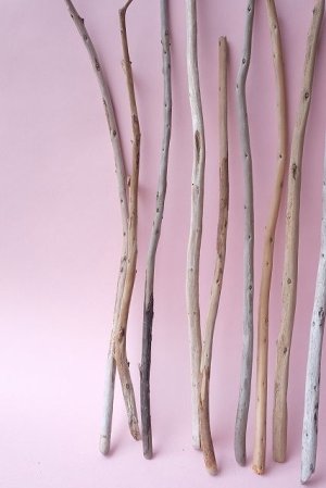 画像2: 棒流木セット