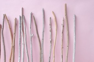 画像8: 棒流木セット