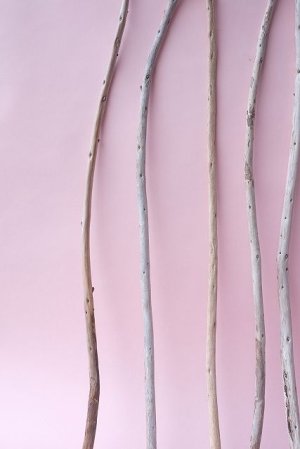 画像5: 棒流木セット