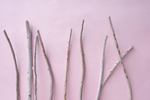 画像4: 棒流木セット