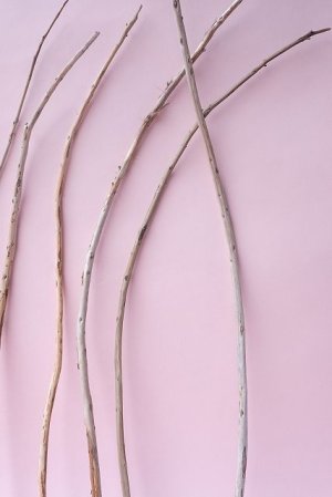 画像6: 棒流木セット