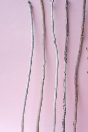 画像5: 棒流木セット