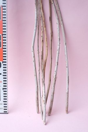 画像7: 棒流木セット