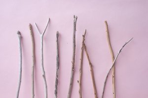 画像4: 棒流木セット