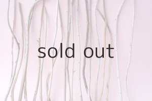 画像6: 棒流木セット