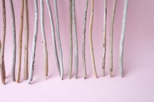 画像7: 棒流木セット