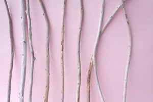 画像3: 棒流木セット