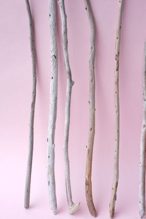 画像5: 棒流木セット