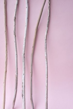 画像7: 棒流木セット