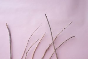 画像4: 棒流木セット