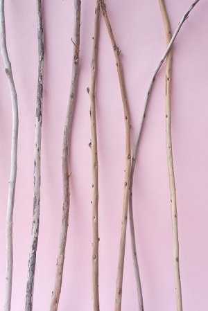 画像6: 棒流木セット